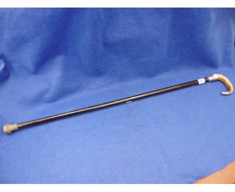A HORN HANDLED SILVER TIPPED AND COLLARED WALKING STICK