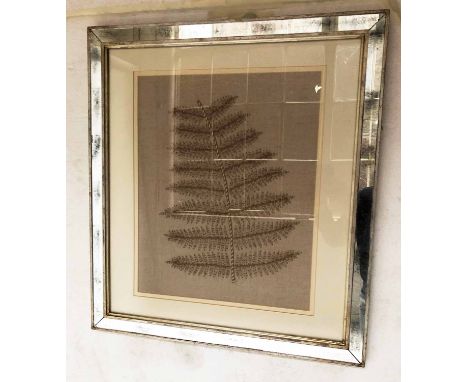 FERN PRINT, rectangular print in mirror panelled frame, 74cm x 67cm.