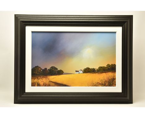 BARRY HILTON (BRITISH 1941) 'SWEEPING SKIES', a signed limited edition print on board, depicting a landscape with a field of 