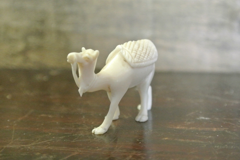 COLLECTABLES A small carved bone/ ivory camel, measuring 3cm tall.
