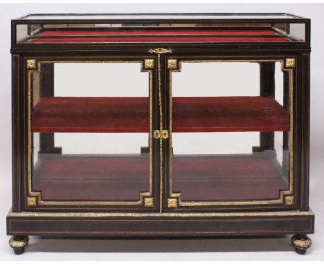 A GOOD VICTORIAN EBONY NARROW GLASS TOP DISPLAY CABINET, with rising top, glass sides and double panel doors below with shelf