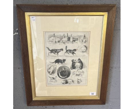 Louis Wain cat print 