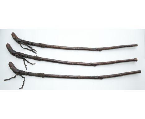WITCH'S STICK.