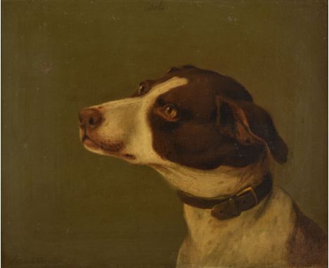 Taylor (Stephen, active 1806-1812). Carlo, 1810, oil on canvas, head and shoulders portrait half profile to left of a brown a