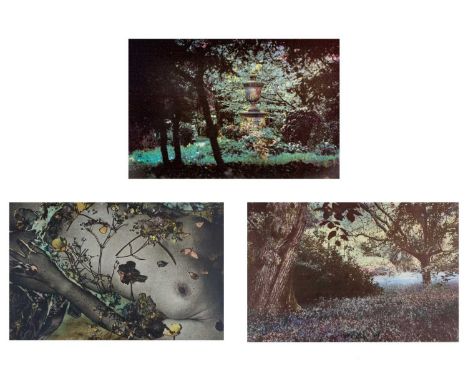 Jennifer Joan DICKSON (1936) Three limited edition lithographs, all artist proofs  
The Secret Garden
Artist proof
Signed, to