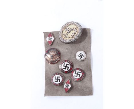Group of eight various Nazi pin badges - to include enamel Hitler Youth badges and N.S.K.K. badge (8)