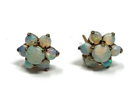 9ct Gold Opal Earrings (1.1g) 