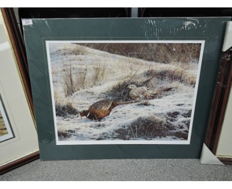 A print after Steven Townsend entitled First Fall 16x22 Inches 65/650 Stamped and Signed Limited run   