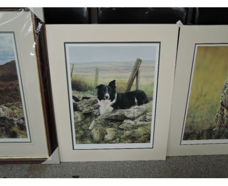 A print after Steven Townsend sheep dog scene 188/675 Stamped and Signed Limited run 
