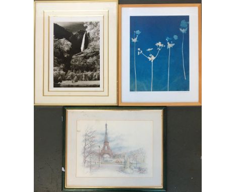 A black and white photograph of a waterfall, signed indistinctly, 34x25cm; an Art Group print after Rebecca Hoyes and one oth