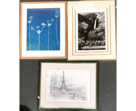 Various pictures and prints to include Patricia Glasswell, David Skipp and a black and white signed print of a waterfall (3) 
