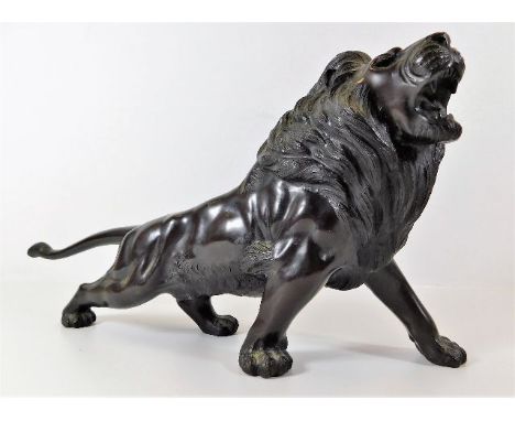 A bronze figure of lion roaring 13.5in long