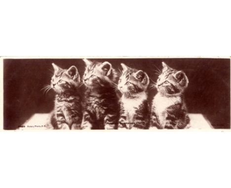 ROTARY, Midget Book Post (kittens), bookmark shaped postcards, none pu, G to VG, 15