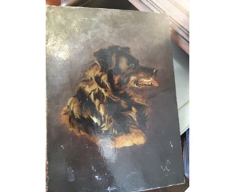 Early 20th century school, dog portrait, oil on canvas, 26cm x 36cm, indistinct monogram, unframed. 
