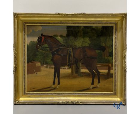 A portrait painting of a horse. Oil on canvas, 19th century. With the inscription "Elins Bays Water" | 51 x 67 cm. (without f