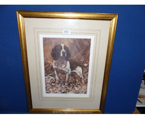 A framed and mounted Ltd. Ed. 558/850 John Tricket Print 'Springer Spaniel', 15 1/4" x 24".