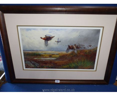 A framed and mounted Archibald Thorburn Ltd. Ed. Print 'Grouse in Flight' 390/850, no glass, 34 3/4" x 25 1/4".