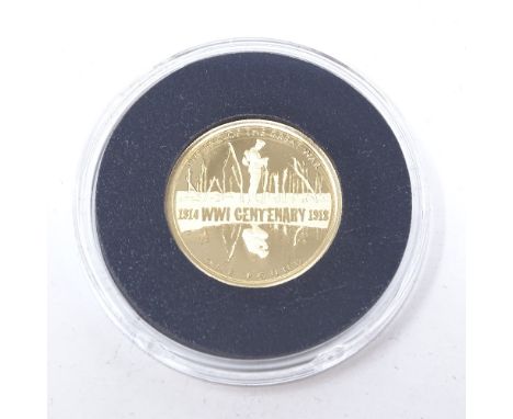 A Centenary of World War I 22ct gold proof £1 coin by The Jubliee Mint, reverse depicting lone soldier and reflection, limite