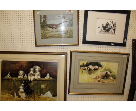 URSULA HOLMES "Study of cock pheasant and woodland creatures", watercolour heightened in white, signed and dated 1975 lower r