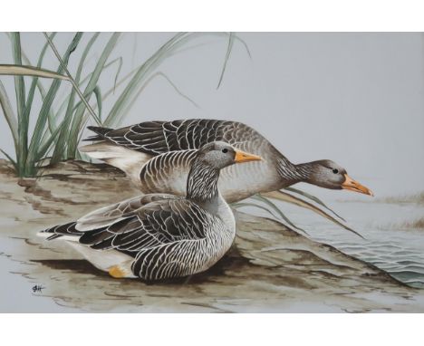 JOHN M. HUTCHIESON SWA (SCOTTISH 20th CENTURY)&nbsp; &nbsp;GREYLAG GEESE &nbsp;Watercolour, signed lower left, 54 x 80cm &nbs