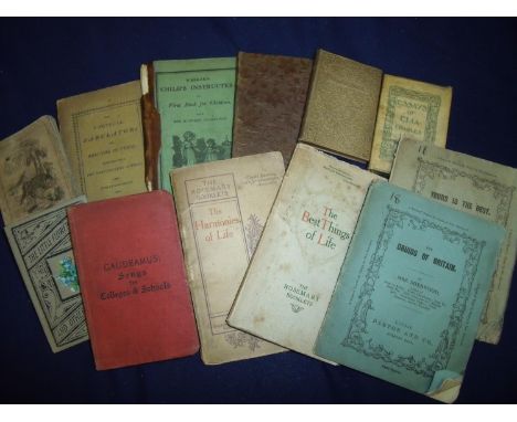 Interesting Collection of mostly early 19th C and later booklets and novels including 'The Poetical Fabulator on Beauties in 