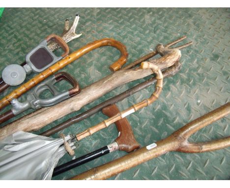 Selection of walking sticks, umbrellas, shooting stick, shepherds style thumb sticks etc 
