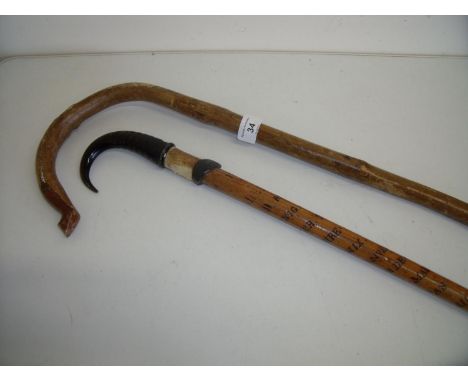 19th C walking stick with small horn &amp; foot grip, the cane body engraved with various place names and date 1881, and anot