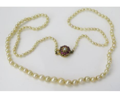 A Graduated String of Pearls with a Gold and Ruby Clasp, largest pearl 5mm approximately, 46cm long excluding clasp (untested