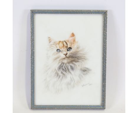 B Andrew, watercolour on opaque glass, portrait of a cat, signed and dated 1901, 8" x 6", framedGood condition 