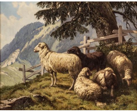 Jakob Edwin BACHMANN (1873-1957) Schafe unter alter Föhre  Grosses Gemälde, Öl auf Leinwand, signiert  50 x 60 cm, Rahmen: 72