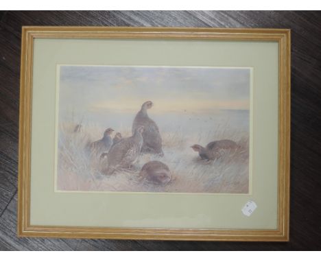 A watercolour, French town, 34 x 17cm, plus frame and glazed, and a selection of pictures, bird interest, inc, a print, after