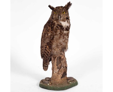 A taxidermy great horned owl (bubo virginianus) mounted on a tree stump and pebbled base, 27cm wide, 25cm deep, 54cm highCITE