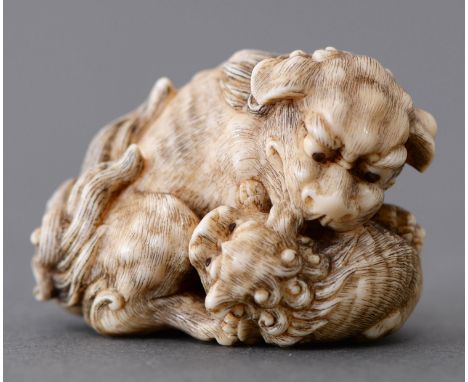 A Japanese ivory netsuke&nbsp;of a shi-shi lion and young,&nbsp;Meiji period, 40mm l, signed Tomokoto Condition ReportGood co