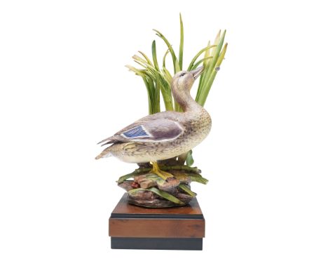 Modelled by Ronald Van Ruyckevelt, this naturalistic sculpture depicts a female mallard duck standing amidst reeds and foliag