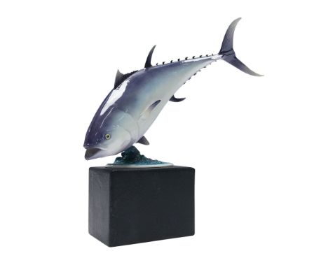 Bone China figurine of a Bluefin Tuna by Ronald Van Ruyckevelt. This naturalistic figure depicts a bluefin tuna in motion, mo