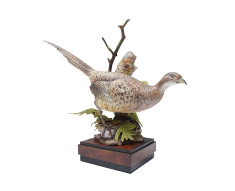 Royal Worcester fine bone china figurine depicting a naturalistic ring-necked pheasant, modeled by Ronald Van Ruyckevelt. Iss