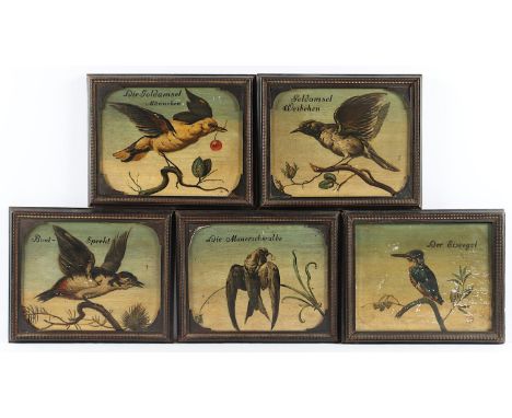 GEFLÜGELMALER DES 19.JH., "Fünf Vogeldarstellungen", Öl/Holz, 22,5 x 29,5, besch., R.