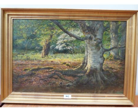 L.H. WILKINSON. BRITISH 20TH CENTURY In The Heart Of The Forest. Signed and inscribed verso. Oil on canvas. 16' x 24'