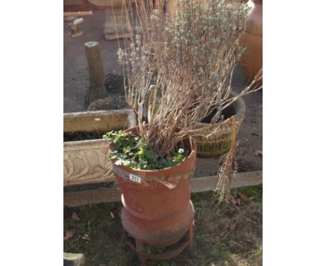 A Terracotta Chimney Planter 