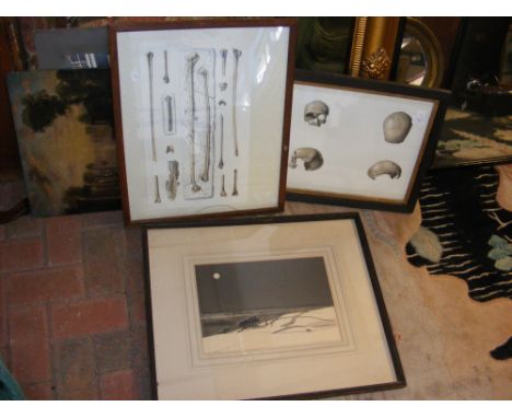 Assorted pictures, including a signed Limited Edition print by ANTHONY RAINE-BARKER 