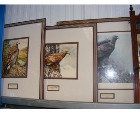 Two BOB MONTGOMERY watercolours of Birds of Prey, together with a Limited Edition print by ALAN B HAYMAN - believed to be fro
