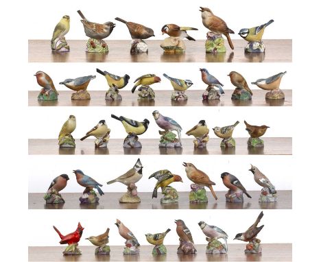 Collection of thirty four Royal Worcester birdsin matt glaze finish, to include: red cardinal, blue-tit, kingfisher, wren, go