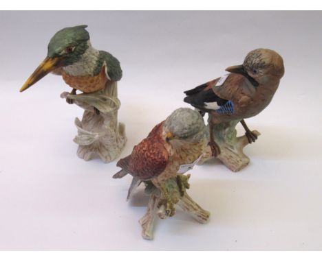 Three large figures by Goebel of a jay, bird of prey and a kingfisher 