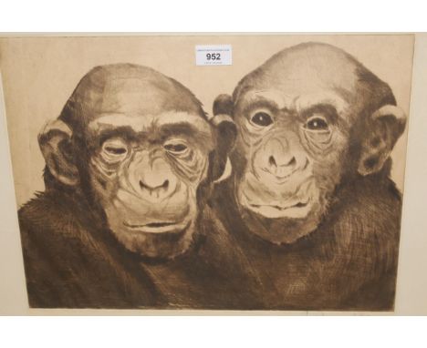 Fred Daaman-Goldberg, signed etching, study of two monkeys, 32 x 44cm 