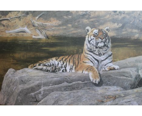Anthony Gibbs, signed print of a tiger, ' Quizzical Quadruped ', 80 x 102cm 