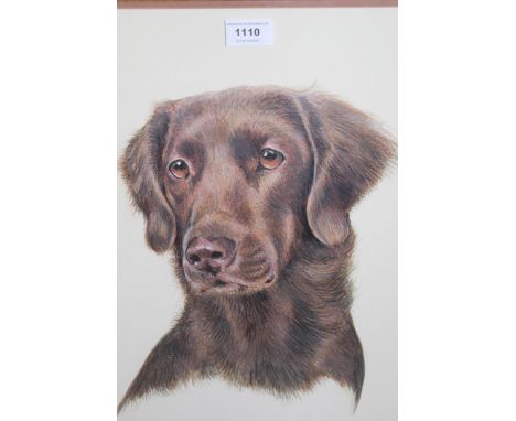 20th Century, coloured pencil portrait of a dog, signed Helen E. Langley, framed, 41 x 31cm 