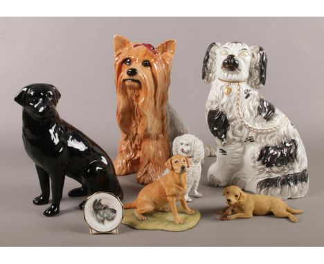 A collection of ceramic dog figurines. Beswick, Border Fine Arts etc  damage/repair to Beswick dog