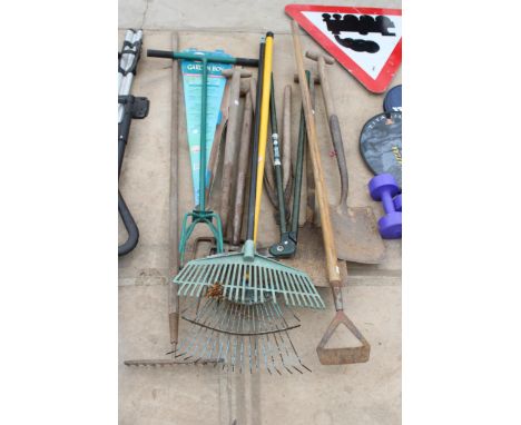 AN ASSORTMENT OF TOOLS TO INCLUDE TWO SPADES, FORKS AND RAKES ETC
