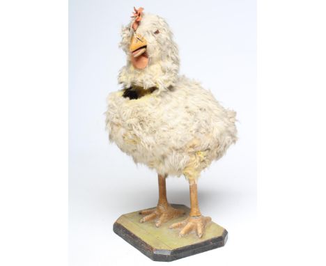 A clockwork chicken automaton, papier mache body with feather covering, wooden head with clockwork operated nodding action, g