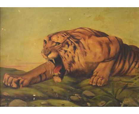 E.H, Hall - Oil on board - Portrait of a tiger, signed, 42cm x 59cm, framed  